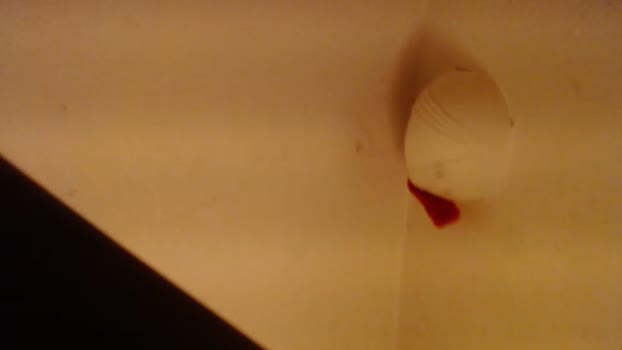 notashy94 15-03-2024 Recorded Video oral