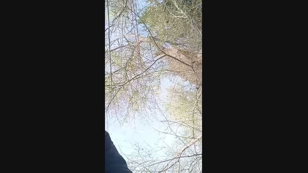 pitorry_hot4 15-03-2024 Recorded Video moan