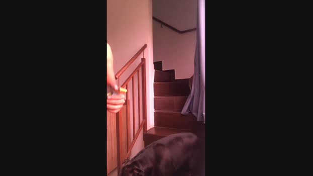 teixeirasex 14-03-2024 Recorded Video jerkoff