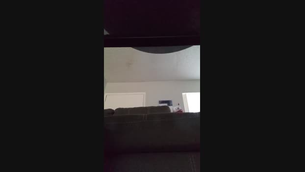 Silkworm_Piper 15-03-2024 Recorded Video bigload