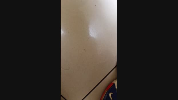 ctoned 16-03-2024 Recorded Video legs