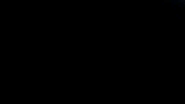 fenicerossa 16-03-2024 Recorded Video Cam