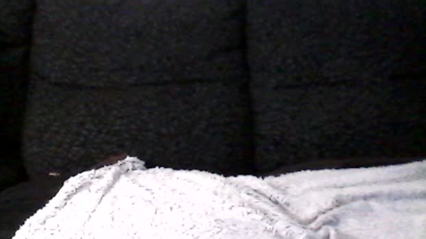 malebeard42 16-03-2024 Recorded Video bigdick