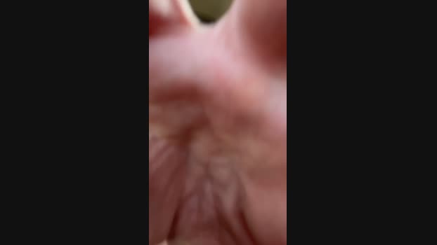 raulxxl2025 16-03-2024 Recorded Video Porn