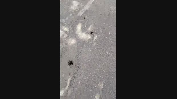 avalarf 17-03-2024 Recorded Video bigass