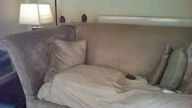 lancgrem 17-03-2024 Recorded Video play