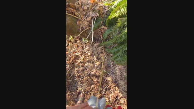 Diegomorbo_str 18-03-2024 Recorded Video handsome