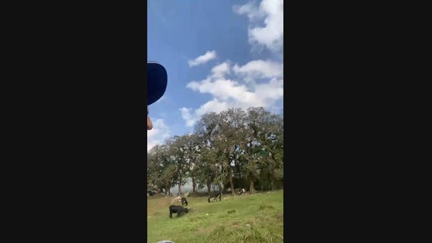 Skinny23cm 18-03-2024 Recorded Video orgasm