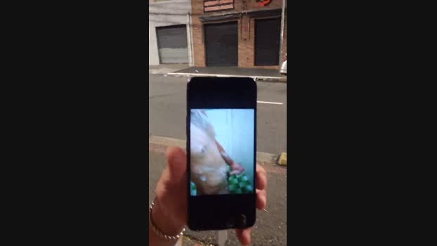 brhonn 18-03-2024 Recorded Video Pretty