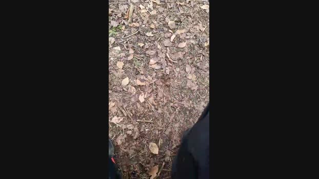 Outdoorgeil1 18-03-2024 Recorded Video fuckher