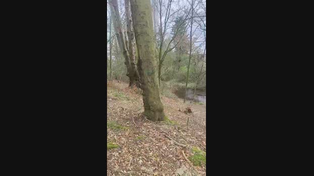 peggingboy87 19-03-2024 Recorded Video hard