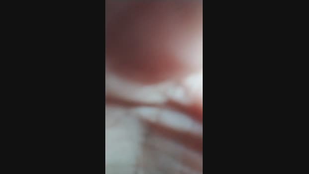 Gatonota 19-03-2024 Recorded Video bigdick