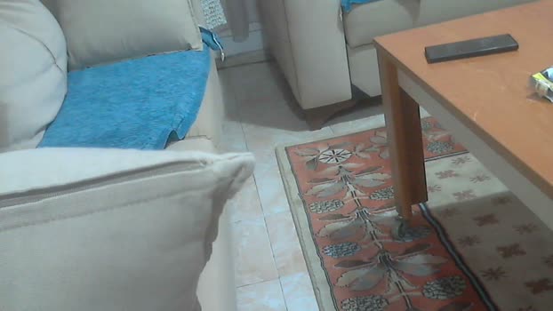pollen_07 19-03-2024 Recorded Video playtime