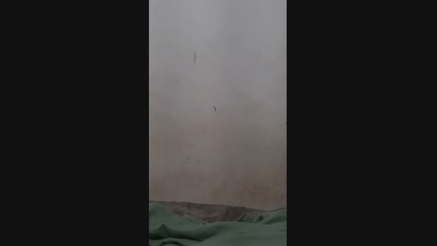 srgualberto1 20-03-2024 Recorded Video juicy