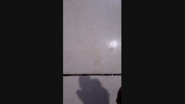 Chelhardfuck 20-03-2024 Recorded Video bigload