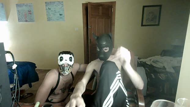 Chico21__ 21-03-2024 Recorded Video analtoy