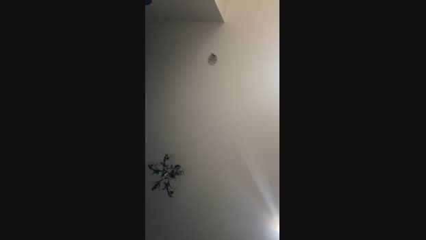 Mario84Luci 21-03-2024 Recorded Video moan