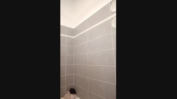 mademax59hot 22-03-2024 Recorded Video fuckme