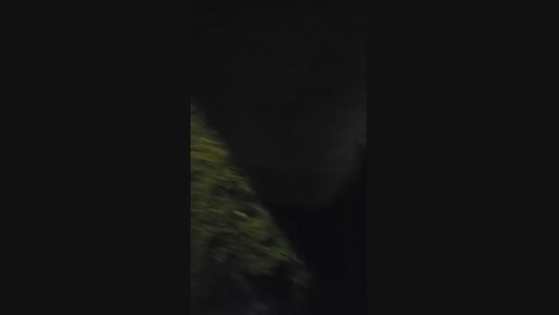 pollen_07 21-03-2024 Recorded Video jerkoff