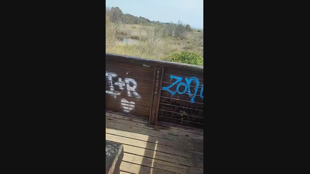 6Q87 23-03-2024 Recorded Video Naked