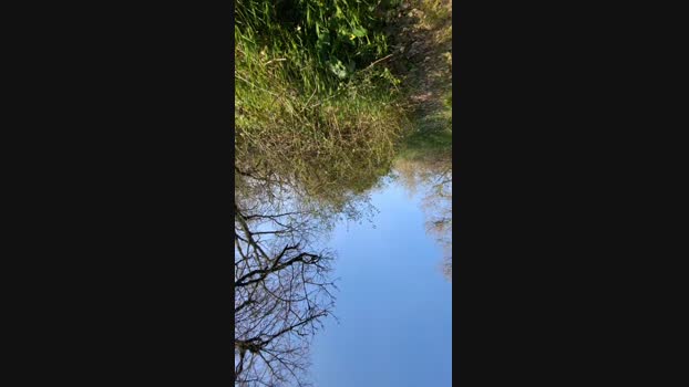 BrusWayn 22-03-2024 Recorded Video dirty