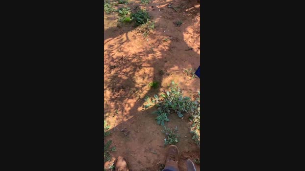 Luca075 23-03-2024 Recorded Video big