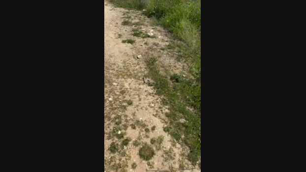 babiscam 23-03-2024 Recorded Video bigtoys