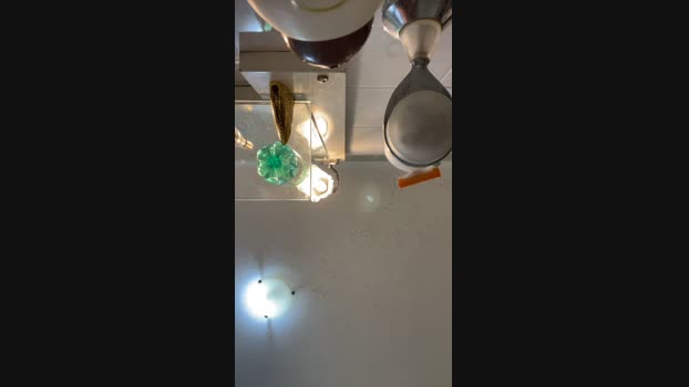 igor1857 23-03-2024 Recorded Video Download
