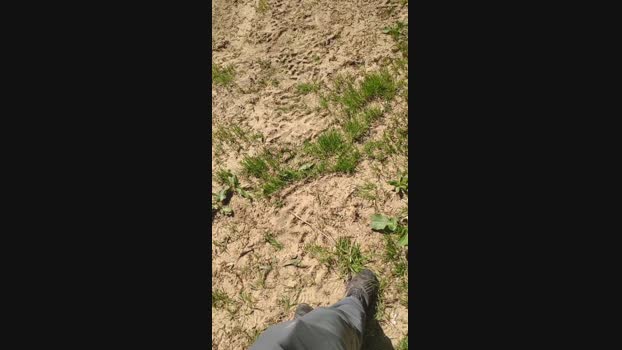 polli_play 23-03-2024 Recorded Video sweet