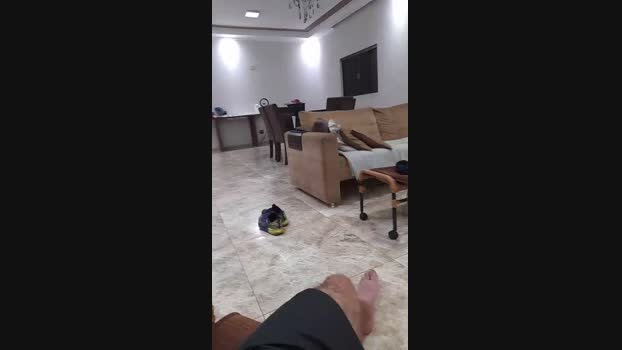 Mecbil 25-03-2024 Recorded Video toy