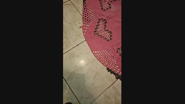 gostosomt1978 25-03-2024 Recorded Video Cam