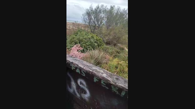 6Q87 25-03-2024 Recorded Video ass