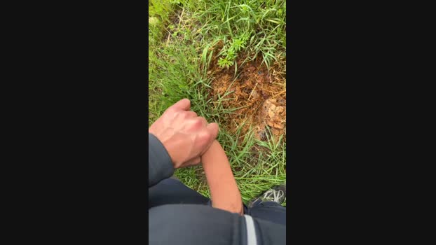 Elisir1987 26-03-2024 Recorded Video Ass
