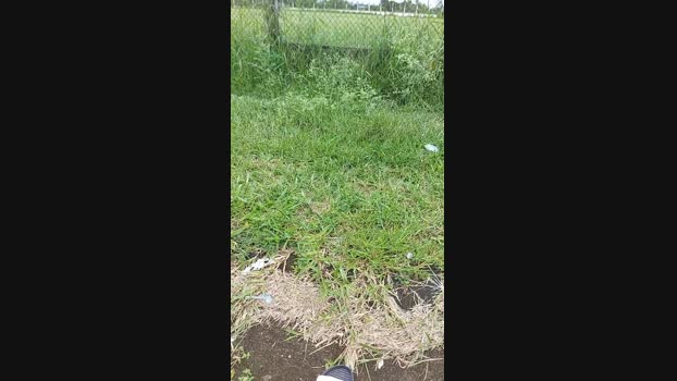 jao_magrao 26-03-2024 Recorded Video lovense