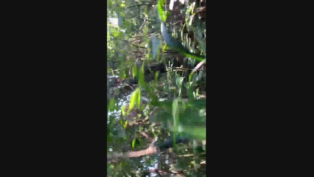 Nado1santos 26-03-2024 Recorded Video lovense