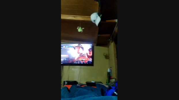 elcolagen02 27-03-2024 Recorded Video deep