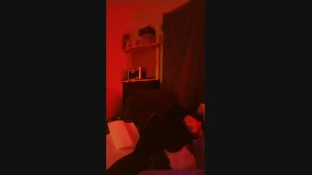 physicssexpert 27-03-2024 Recorded Video fuck