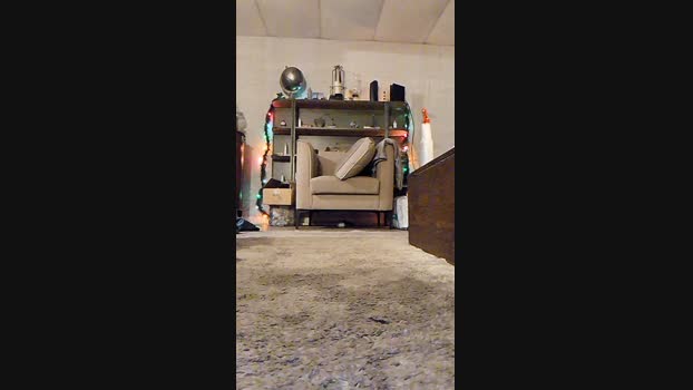 Somebodyinle 28-03-2024 Recorded Video Topless