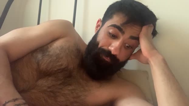 SaadXLArab