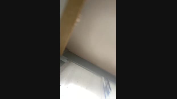 mrpollon3 29-03-2024 Recorded Video bigballs
