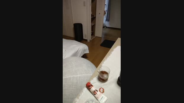 tokyo1130021kaz 29-03-2024 Recorded Video toy