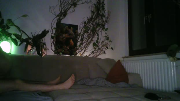 intenseLikeYou 29-03-2024 Recorded Video lick