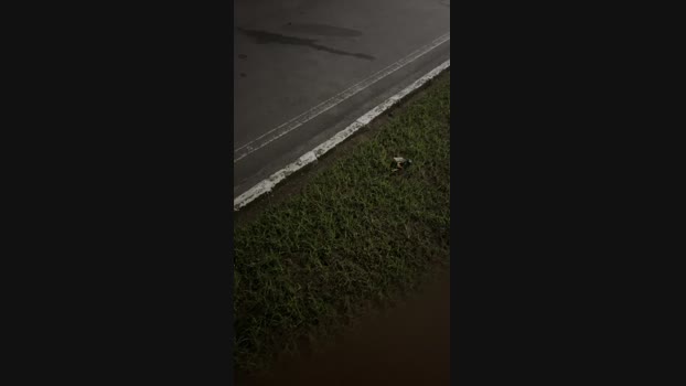 welllllll1 30-03-2024 Recorded Video Video