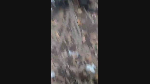 freefire77 30-03-2024 Recorded Video Ass