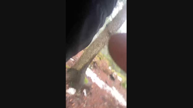 stefanoeverlan1 31-03-2024 Recorded Video kiss