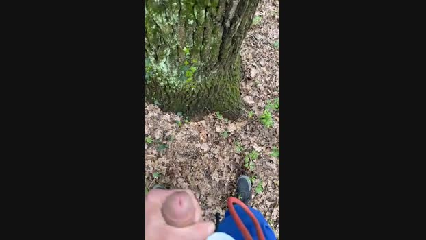 77xxxxx 01-04-2024 Recorded Video XXX
