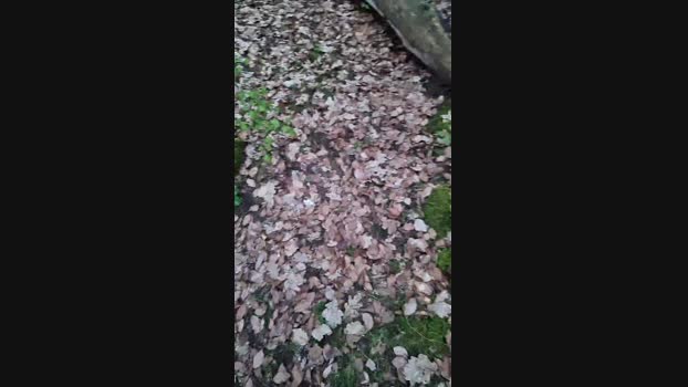 Outdoorgeil1 31-03-2024 Recorded Video kiss