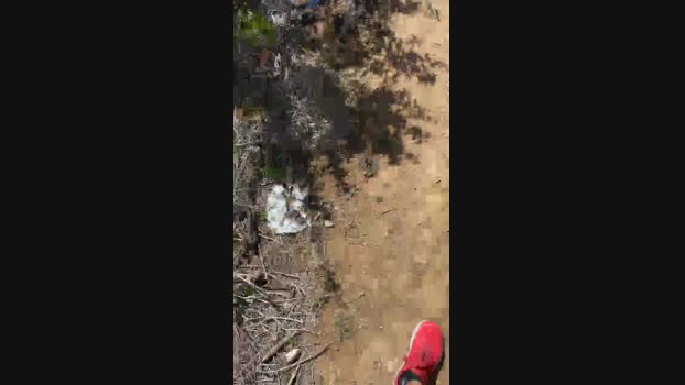 despacitofonsi 01-04-2024 Recorded Video sex