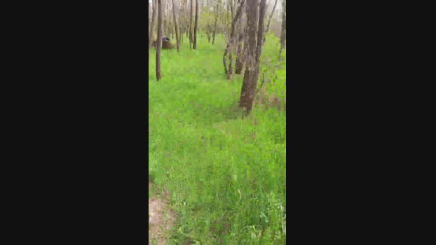 faraon47 01-04-2024 Recorded Video jerkoff
