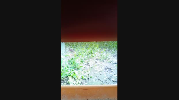 pitorry_hot4 01-04-2024 Recorded Video twink